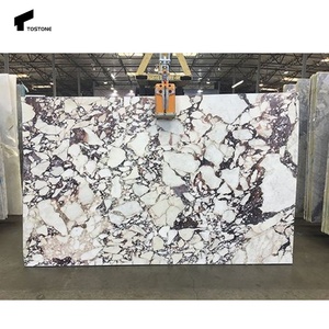 Tostone Italy lastre di marmo originali Calacatta Viola per cucina di lusso isole bagno vanità top casa ville arredamento appartamento - Product Image 3