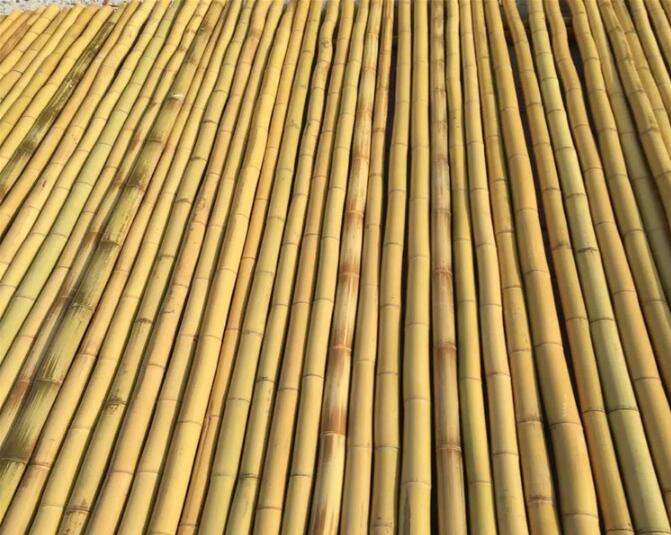 สีเหลือง