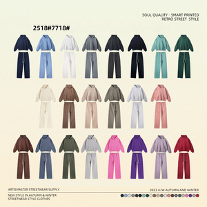 Coloveark DQ 350G Custom felpe con cappuccio da uomo stampa Logo cotone oversize Unisex <span class=keywords><strong>Pullover</strong></span> felpa con cappuccio da uomo - Product Image 4