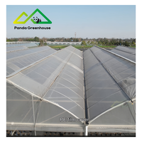 Gotische Tuinbouwkas Kit |   Grote enkellaagse multispan commerciële constructie voor de teelt van hoogproductieve groenten en bessen