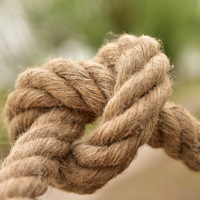 Corde de chanvre naturelle 20mm 30mm 40mm 50mm Corde de jute d'épaisseur Corde d'escalade pour entraînement physique