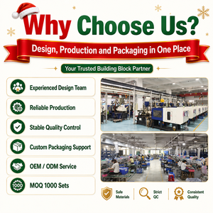 Set di Costruzioni Natalizie Personalizzate OEM/ODM, Fabbrica di Produzione e Confezionamento di Mattoncini Giocattolo, Servizio di Personalizzazione OEM/ODM - Product Image 6