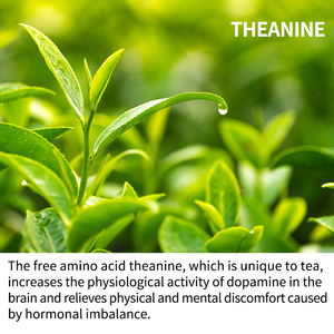 Suplemento de L-Teanina Damingtang, 200 Tabletas de 500 mg Cada Una, Apoya la Memoria, la Salud Cerebral y el Sueño - Product Image 5