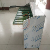 Trieuse automatique d'œufs de poule, classez la taille, trieuse à petite échelle triez la Machine à œufs par poids
