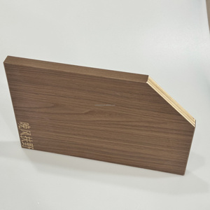 Nouveau panneau de mélamine 18mm contreplaqué Boardplaceer Multiplex 11 plis panneaux 4x8 fini étanche utilisé intérieur - Product Image 2