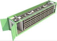 Ferme de fraises hydroponiques automatiques en conteneur, culture verticale de fraises en conteneur aéroponique, culture de légumes en conteneur maritime