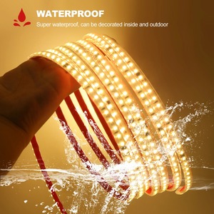 220V 110V <span class=keywords><strong>pas</strong></span> <span class=keywords><strong>cher</strong></span> <span class=keywords><strong>Led</strong></span> <span class=keywords><strong>bande</strong></span> lumières 50M 100M rouleau 120LEDs Flexible <span class=keywords><strong>LED</strong></span> <span class=keywords><strong>bande</strong></span> avec ruban adhésif étanche IP65 Tira De Luz <span class=keywords><strong>Led</strong></span> - Product Image 2