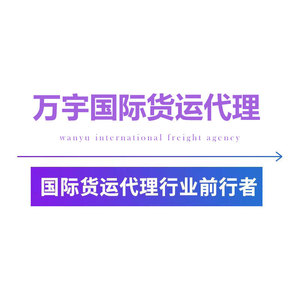 บริการขนส่งระหว่างประเทศทางอากาศ ทางเรือ โลจิสติกส์ สำหรับ Amazon eBay Wish AliExpress รวมภาษีศุลกากร จัดส่งถึงหน้าประตู - Product Image 2