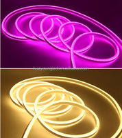 Fabricant de néons LED, tailles et logos personnalisés disponibles, 12V/24V, garantie de 3 ans pour les lettres lumineuses artistiques