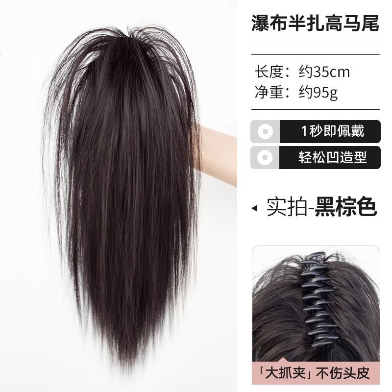 Queue de cheval droite [brun-noir]