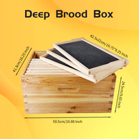 Kit de ruche d'abeilles de Langstroth d'usine d'OEM équipement d'apiculture ruche en bois