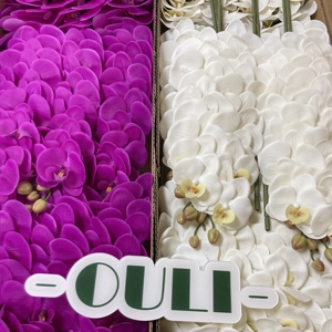 J-04303 bonne qualité 9 têtes longueur totale 90CM Real Touch fleurs Real Touch orchidées pour la décoration de la maison - Product Image 1