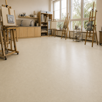 Kommerzieller Homogener PVC-Bodenbelag in Rollenform, Rutschfest und Verschleißbeständig, Vinyl-Bodenbelag für Krankenhäuser und Gesundheitsbereiche