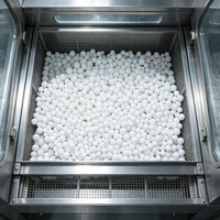 Alumine activée en billes, adsorbant déshydratant pour le séchage de l'air, la défluorisation de l'eau et support catalytique – Approvisionnement direct usine