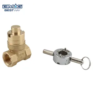 BWVA One-stop Solution DN15 1/2 Inch PN16 Locking Brass Gate Valve For Water With Low Price