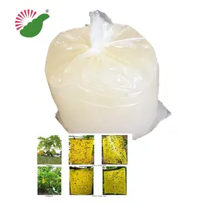 Wholesale High Efficiency Indoor Catcher Mosquito Trap Sticky Flies Plate Fly Glue Boards Trap Fly Sticker Glue