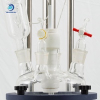 Reactor de Vidrio de Doble Capa de Grado Industrial de 5L, Resistente a la Corrosión, para Pruebas de Laboratorio y Procesamiento de Productos Químicos Finos