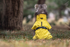 Imperméable classique simple en PU <span class=keywords><strong>pour</strong></span> chien, vêtements <span class=keywords><strong>pour</strong></span> animaux <span class=keywords><strong>de</strong></span> compagnie <span class=keywords><strong>pour</strong></span> teckel, <span class=keywords><strong>whippet</strong></span>, gris, toutes saisons - Product Image 5