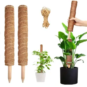 Dừa Cọ Xơ Dừa Rêu Stick Totem Cực Coco Xơ Dừa Totem Cực Hỗ Trợ Mở Rộng Leo Cây Trong Nhà Dây Leo