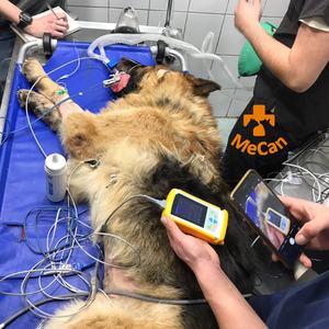 Детский Пульсоксиметр - Product Image 4