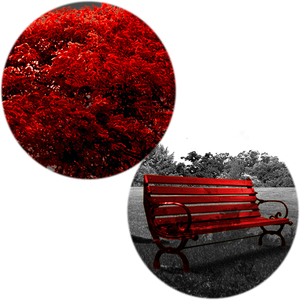 Nordic Modern Red Tree Landscape Wall Art Canvas <span class=keywords><strong>poster</strong></span> stampe immagini a <span class=keywords><strong>parete</strong></span> senza cornice <span class=keywords><strong>per</strong></span> <span class=keywords><strong>ufficio</strong></span> soggiorno Home Decor Artwork - Product Image 6
