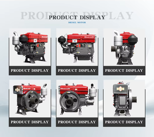 Moteur diesel monocylindre refroidi par eau Changchai pour machines agricoles - Modèles S1100 S1110 S1115 S1125 - Product Image 5