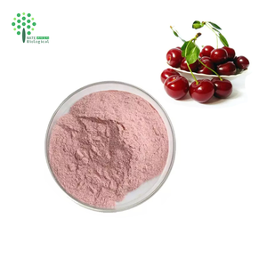 Чистая природа Acerola Вишневый экстракт сока фруктовый порошок 5% VC - Product Image 1