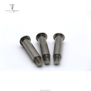 TianFang Özel Paslanmaz Çelik Omuz Vidası SS304/SS316 Yarıklü Tava Başlı Hassas Sınıflar 4.8/6.8/8.8/10.9/12.9 Çinko Kaplama - Product Image 2