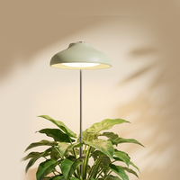 Lampe de culture LED d'intérieur pour plantes, lumière de floraison, abat-jour en paille écologique verte, 5W USB, spectre complet 4000K, minuterie automatique, fourniture d'usine