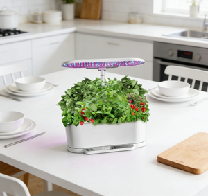 Nuevo Modelo <span class=keywords><strong>2022</strong></span>, Jardín Interior Inteligente con Luz LED de Cultivo, Sistema Hidropónico Ecológico, Maceta para Uso <span class=keywords><strong>en</strong></span> Pared de Cocina - Product Image 1