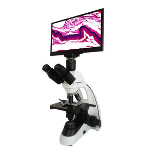 Boshida BD-SW1001 Balance biologique numérique avec écran LCD pour hôpital et laboratoire de recherche - Product Image 1