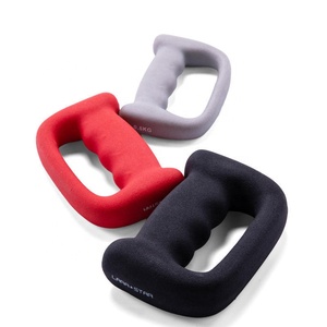 Customize Professional Cast Iron <b>Dumbbells</b> for Boxing Shadowboxing Trainer Fitness Running, Gym & Outdoor Sports Training - Product Image 1