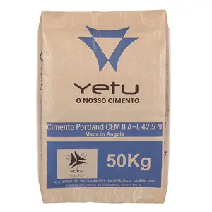 20Kg 25Kg 40Kg 50Kg PP Woven Valve Bag Portland Cement Bag For Cement Putty Powder