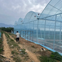 Serre tunnel multi-voûtes en plastique pour l'élevage commercial de volailles et d'escargots, kit d'agriculture protégée