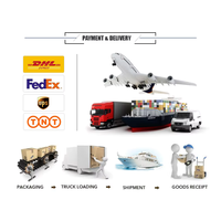 Leiser Inverter-Generator 2kW Dual-Fuel-Generator Benzin Seilzugstart Ultra-Leise 4-Takt Niedriger Kraftstoffverbrauch für den Täglichen Hausgebrauch