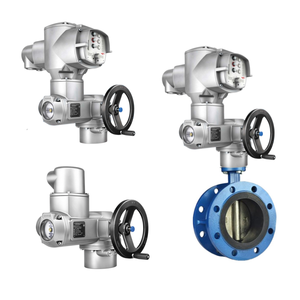 ตัวควบคุมบอลบอดี้แบบจีนและตัวกระตุ้นแบบหมุนได้รุ่น Auma SQ พร้อมชุดควบคุม AM - Product Image 6