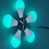 Bombilla de Píxeles RGB Digitales DMX512 de 80 mm y 24 V CC para Iluminación de Eventos en Discotecas
