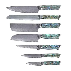 67 Layers Damascus Steel Japan Chef Knife, Superb Edge Retention, VG-10 Core, With Abalone Shell Handle For Cutting