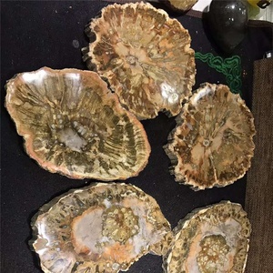 Dalle de fossile en bois pétrifié naturel poli de grande taille prix de tranche de pierre brute pour la décoration de la maison vente en gros