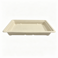 Afbreekbare, recyclebare, wegwerpbaar rechthoekig sushi- en fruitplateau, stapelbaar, geschikt voor magnetron, van bagasse, voor fastfood.