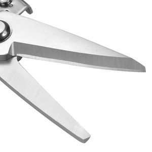 Garden Pruning Shears Stainless Steel Bypass Pruner For Fruit Trees Manual Metal Handle Butterfly Structure - Product Image 1