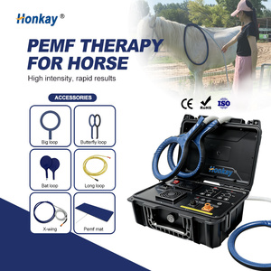 Oferta Especial: Dispositivo de Terapia PEMF de Alta Potencia para Rehabilitación Equina, Grado Clínico Veterinario, para Fisioterapia de <span class=keywords><strong>Caballos</strong></span> - Product Image 1