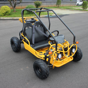 CHEAP MINI BUGGY 125CC FOR KIDS 110 GO KART for sale