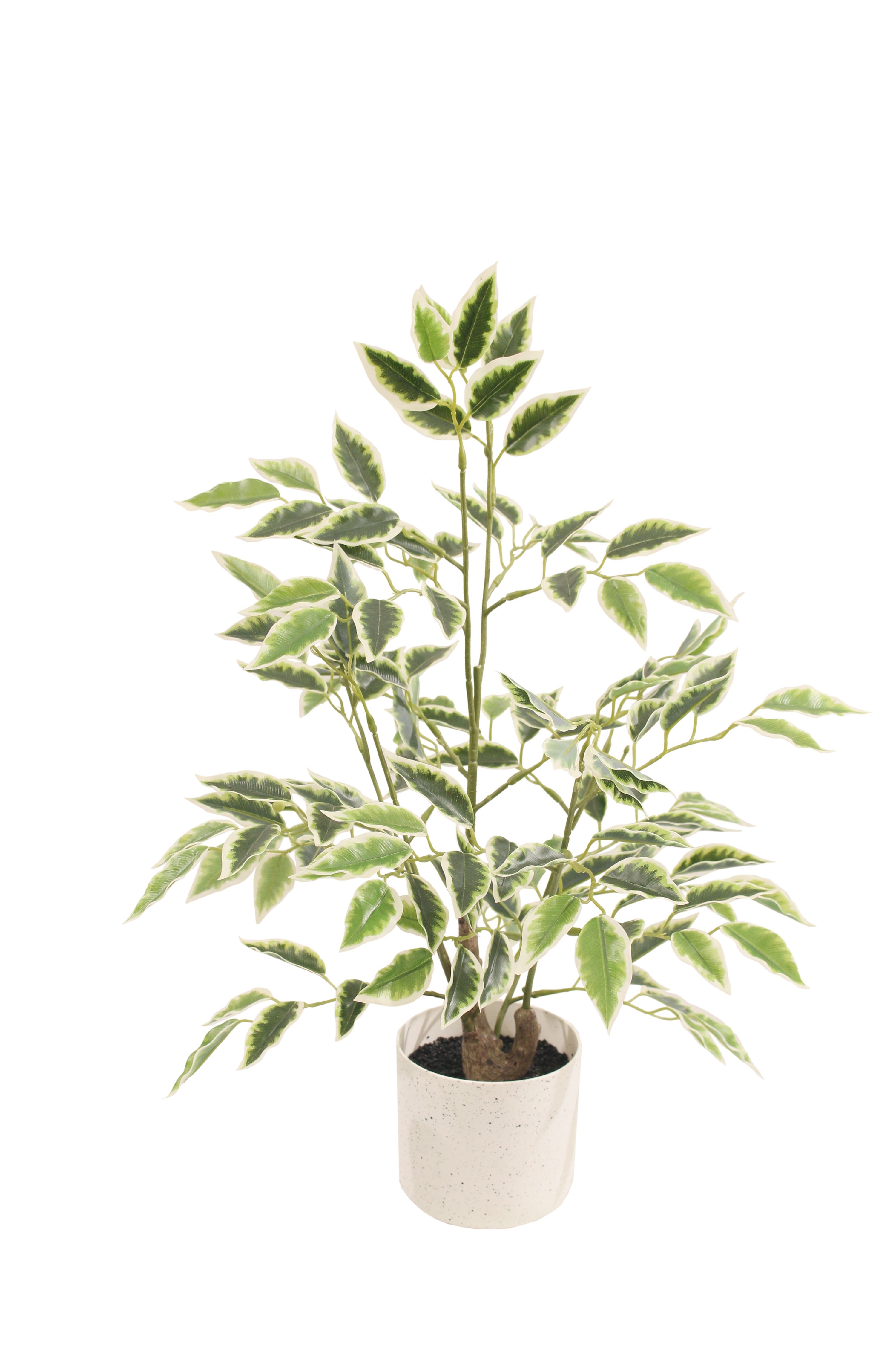 กำหนดเอง