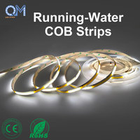 Cinta LED COB de un solo color o doble color con efecto de persecución, IC WS2811, 12/24 píxeles/m, DC24V, Ra90, sin puntos, para visualización de logotipos