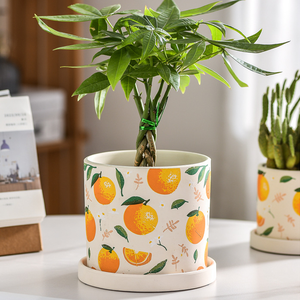 Maceta de Cerámica con Bandeja, Diseño de Frutas (Fresa y Limón), Ecológica, Duradera, con Orificio de Drenaje, Moderna y Minimalista - Product Image 2