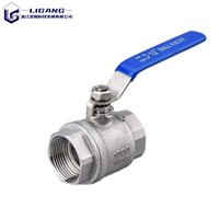 Válvulas de Bola de 2 Piezas de Acero Inoxidable 304 316 con Rosca NPT BSPT 1000 WOG para Tuberías de Petróleo y Químicos de Grado Industrial