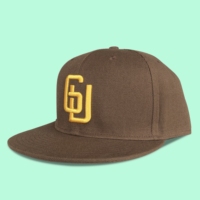 Casquettes Snapback de Sport Ajustées en Coton Classique à 6 Panneaux de Haute Qualité avec Logo Personnalisé pour Hommes