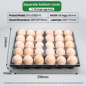 Vassoio Blister in Plastica Nera con Coperchio Separato, Materiale CPET Ecologico per Uova, Bestseller - Product Image 5