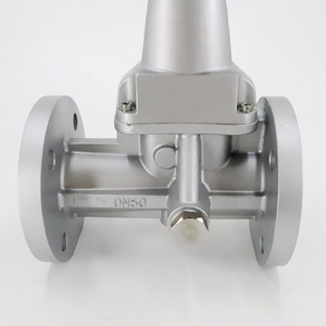 Misuratore di Flusso Gas a Vortice Intelligente in Acciaio Inossidabile DN20, Precisione ±1%, Uscita RS485, Grado Industriale - Product Image 6